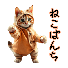 [LINEスタンプ] 服を着たリアルな猫キャラ達のスタンプ友編
