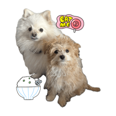 [LINEスタンプ] モコぷりぷりんメイン