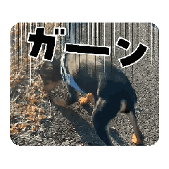 [LINEスタンプ] ペットスタンプ3♡