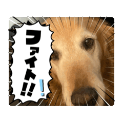 [LINEスタンプ] Fu-ta8