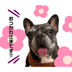 [LINEスタンプ] ルーちゃんローちゃんスタンプ