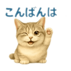 [LINEスタンプ] ぼく。マンチカン！猫挨拶バージョン