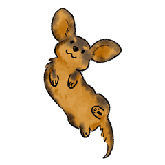 [LINEスタンプ] これはダックスフンドです。(黒)