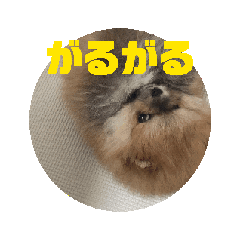 [LINEスタンプ] 動く うずゆずスタンプ