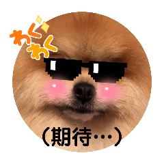 [LINEスタンプ] サングラスうず