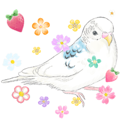 [LINEスタンプ] いんこのすぅーちゃん☆