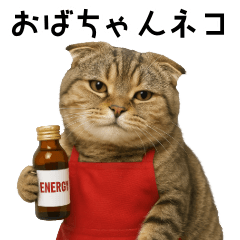 [LINEスタンプ] 口うるさい優しいおばちゃんネコ