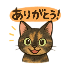 [LINEスタンプ] tortoiseshell cats:さび猫スタンプ1