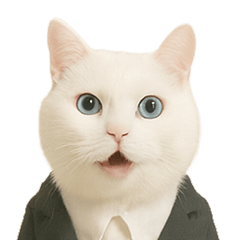 [LINEスタンプ] 意味深な猫