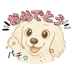 [LINEスタンプ] 『ミニチュアダックス』のスタンプ❷