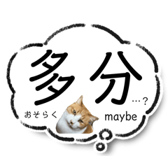 [LINEスタンプ] 猫達の日常・のりこむぎ6