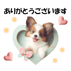 [LINEスタンプ] かわいいパピヨンの犬スタンプ3