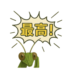 [LINEスタンプ] CS✨カマスタ！
