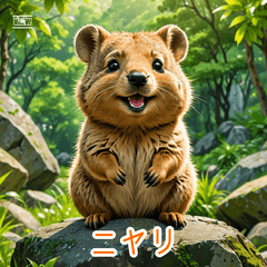 [LINEスタンプ] クォッカのかわいい表情集