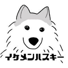 [LINEスタンプ] シベリアンハスキーのまめ(使いにくい)