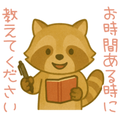 [LINEスタンプ] 敬語のアライグマのスタンプ