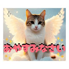 [LINEスタンプ] 面白うごく猫スタンプ♡ゆるっと敬語♡