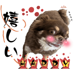 [LINEスタンプ] チョコタンチワワ③