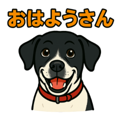 [LINEスタンプ] 和歌山弁の犬（石松）