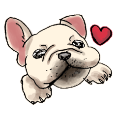 [LINEスタンプ] フレンチブルのめいちゃん
