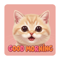 [LINEスタンプ] 子猫の一言イラスト編-1