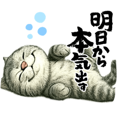 [LINEスタンプ] カワイイ猫たちのスタンプ