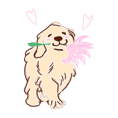 [LINEスタンプ] めいんはゴールデンちゃん！