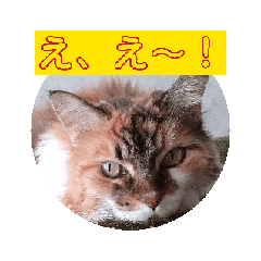 [LINEスタンプ] ねこなリアクション