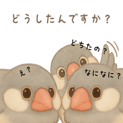 [LINEスタンプ] 毎日・ずっと使える大人可愛い文鳥