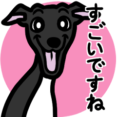 [LINEスタンプ] 【ブラック4】1年中使えるイタグレスタンプ