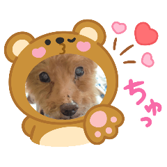 [LINEスタンプ] 着ぐるみ❤クレオ君とマリーちゃん