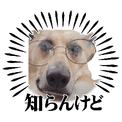 [LINEスタンプ] ライリー 4
