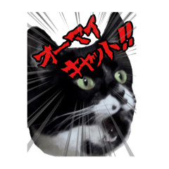 [LINEスタンプ] マサラ社長のLINEスタンプ