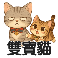 [LINEスタンプ] ふたごネコ