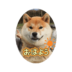 [LINEスタンプ] 僕、わさび