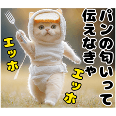 [LINEスタンプ] エッホエッホ ねこは〇〇しなきゃ！