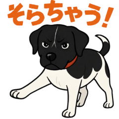 [LINEスタンプ] 和歌山弁の犬（石松）その3