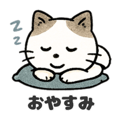 [LINEスタンプ] 猫シロのまいにちスタンプ