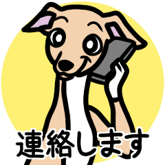 [LINEスタンプ] 【フォーン4】1年中使えるイタグレスタンプ