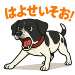 [LINEスタンプ] 和歌山弁の犬（石松）その2