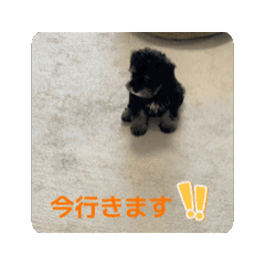 [LINEスタンプ] 動くLOLO様