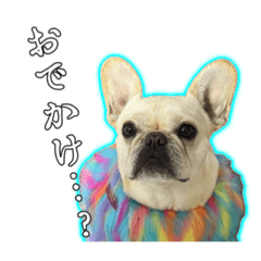 [LINEスタンプ] フレブルのむぎちゃん♡ワクワクスタンプ♪