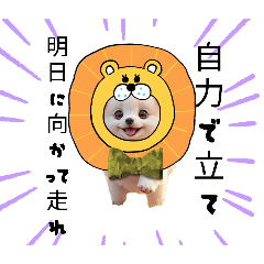 [LINEスタンプ] oirann11