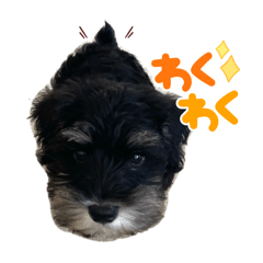 [LINEスタンプ] LOLO様スタンプ