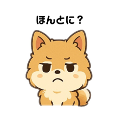 [LINEスタンプ] もふもふポメラニアンの毎日スタンプ