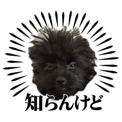 [LINEスタンプ] ブラッキーの成長 2