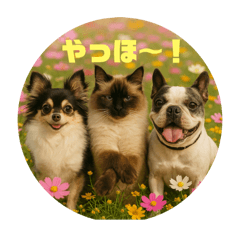 [LINEスタンプ] 我が家の犬猫スリーベイビーズ