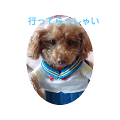 [LINEスタンプ] ange⑬
