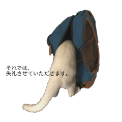 [LINEスタンプ] 吉田家のねこ。