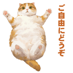 [LINEスタンプ] 猫様がお腹を見せながらこちらを見てくる